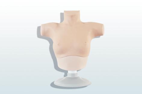 乳腺癌觸診、視診訓(xùn)練模型